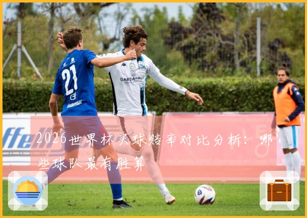 2026世界杯买球赔率对比分析：哪些球队最有胜算