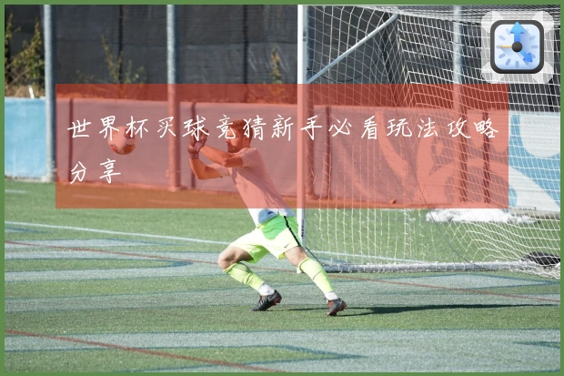 世界杯买球竞猜新手必看玩法攻略分享
