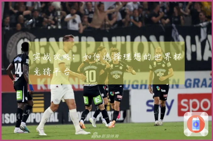 实战攻略：如何选择理想的世界杯竞猜平台