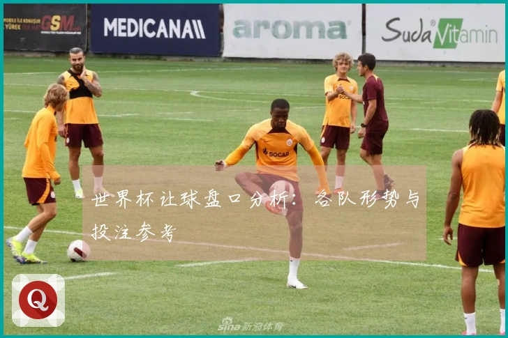 世界杯让球盘口分析：各队形势与投注参考