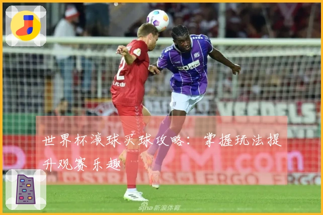世界杯滚球买球攻略：掌握玩法提升观赛乐趣