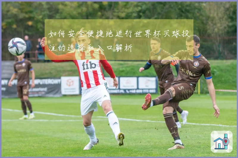 如何安全便捷地进行世界杯买球投注的选择和入口解析
