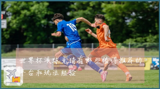 世界杯滚球竞猜有哪些值得推荐的平台和玩法经验