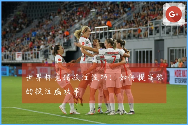 世界杯竞猜投注技巧：如何提高你的投注成功率
