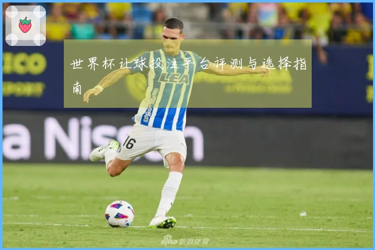 世界杯让球投注平台评测与选择指南