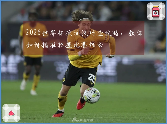 2026世界杯投注技巧全攻略，教你如何精准把握比赛机会